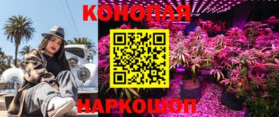 спиды Брянск