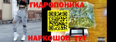 спиды Брянск