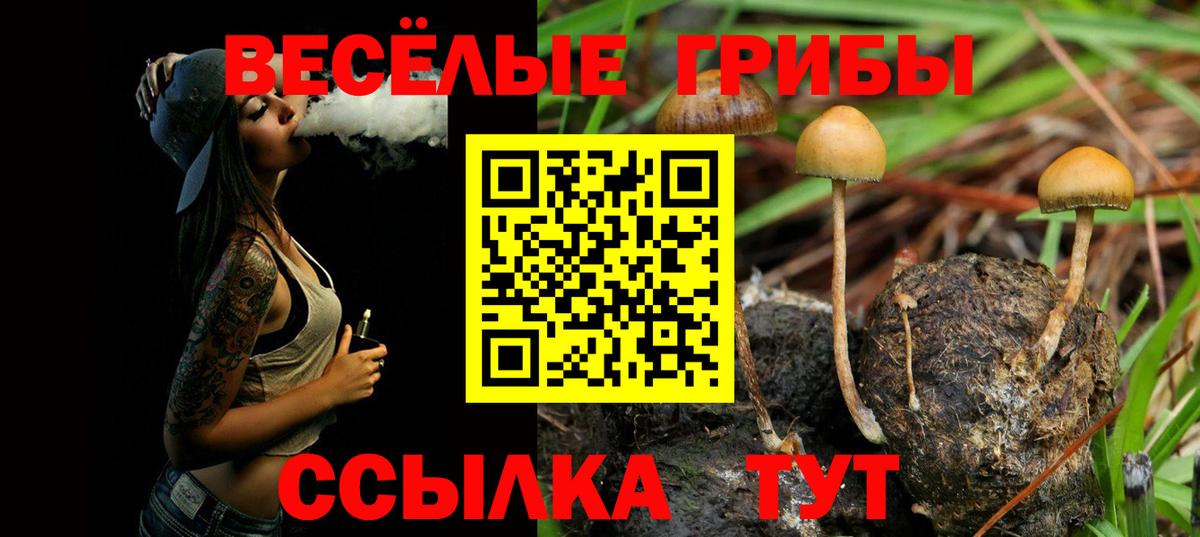Галлюциногенные грибы мицелий  Вход с VPN  Богданович 