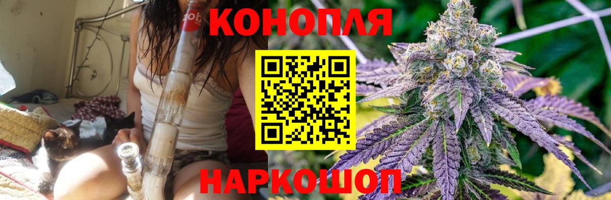 Богданович  Марихуана SATIVA & INDICA  Канабис ГИДРОПОН  Вход с VPN 
